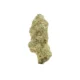 candy runtz strain​, cotton candy runtz strain, candied runtz strain, candy runtz strain leafly, lemon candy runtz strain​, pink candy runtz strain, purple candy runtz strain,candy runtz strain indica or sativa